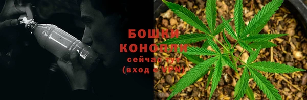 spice Гусь-Хрустальный