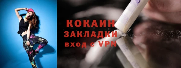 амф Дмитров