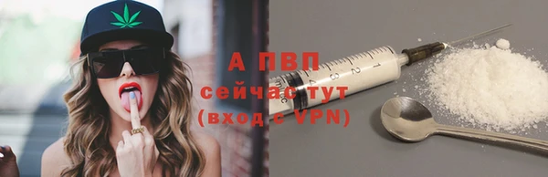 амф Дмитров