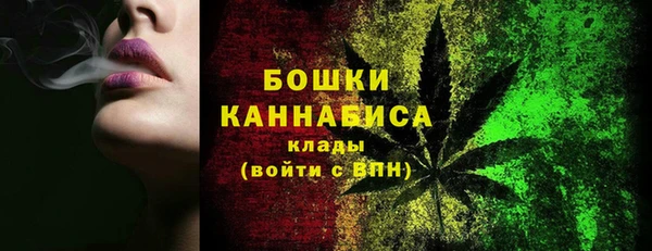 прущие грибы Горнозаводск