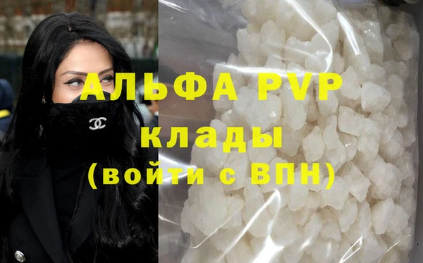 спиды Дмитриев