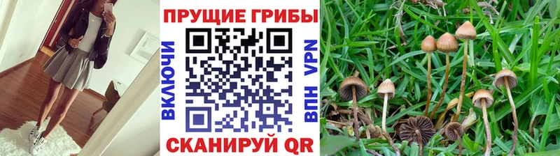 Галлюциногенные грибы ЛСД  Всеволожск 
